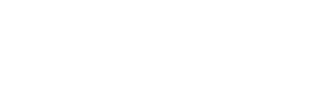 Intronis Partner logo