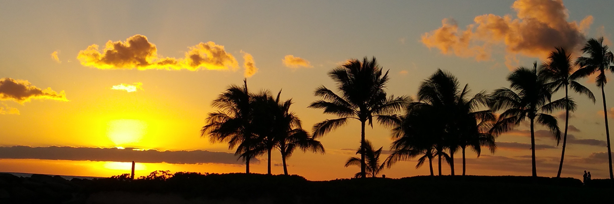Sunset at a beach with palm trees